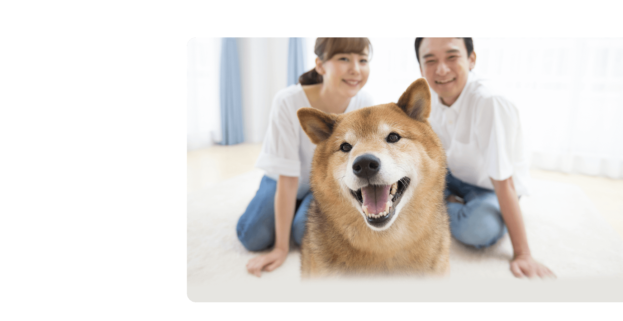 株式会社やまとリフォーム