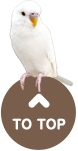 先頭へ戻る